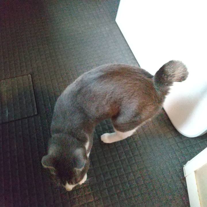 F716f18f 5b1f 4290 b3a8 7bcf8c7d4433 1621375379335