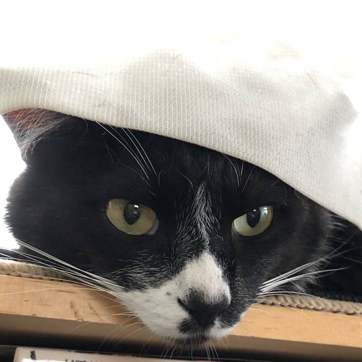 F7170170 9403 4ef2 8e5c aa02190c1362 1564196584756