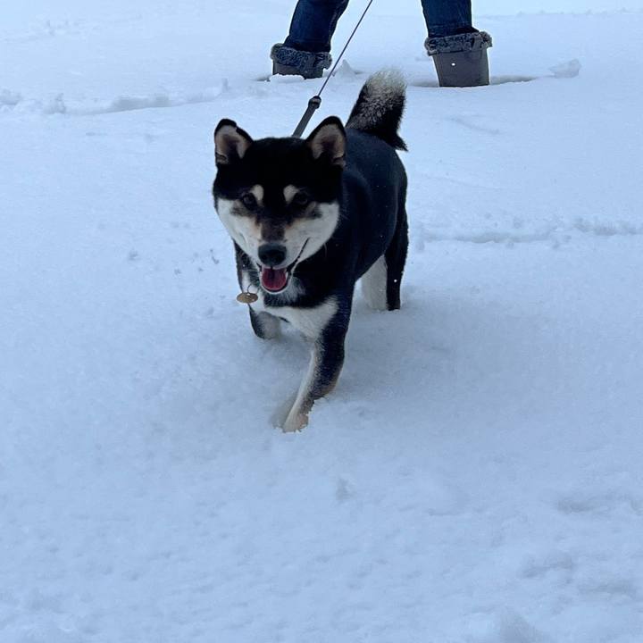 F71708d8 9bf3 4c09 b766 dc25442c1dc2 1643037254013