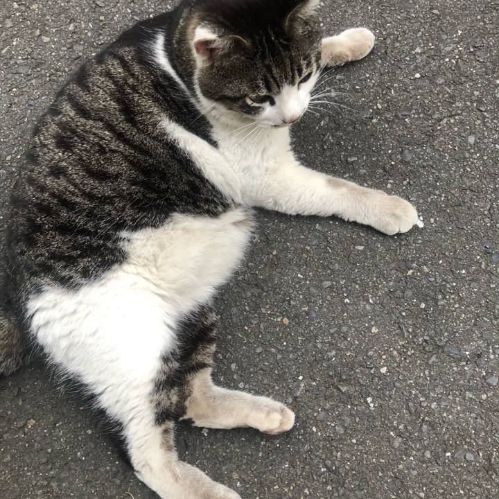 F7170b04 deb2 4b50 8aeb 8394e3a6bbcd 1556008566149