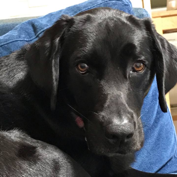 F7172689 1c79 4891 b5e4 4f6e509401a3 1567426349107