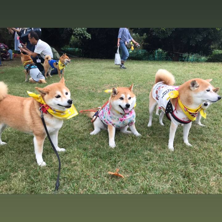 F7172c2a cebd 4730 b668 2303ada5c415 1569655543602