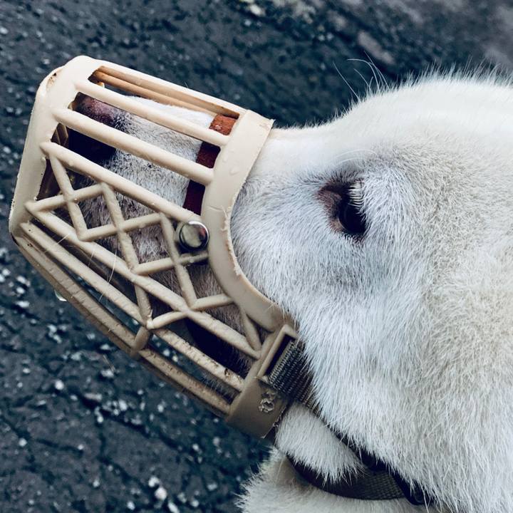 F717308e 917d 416a b750 33b10c3f051f 1567114623274