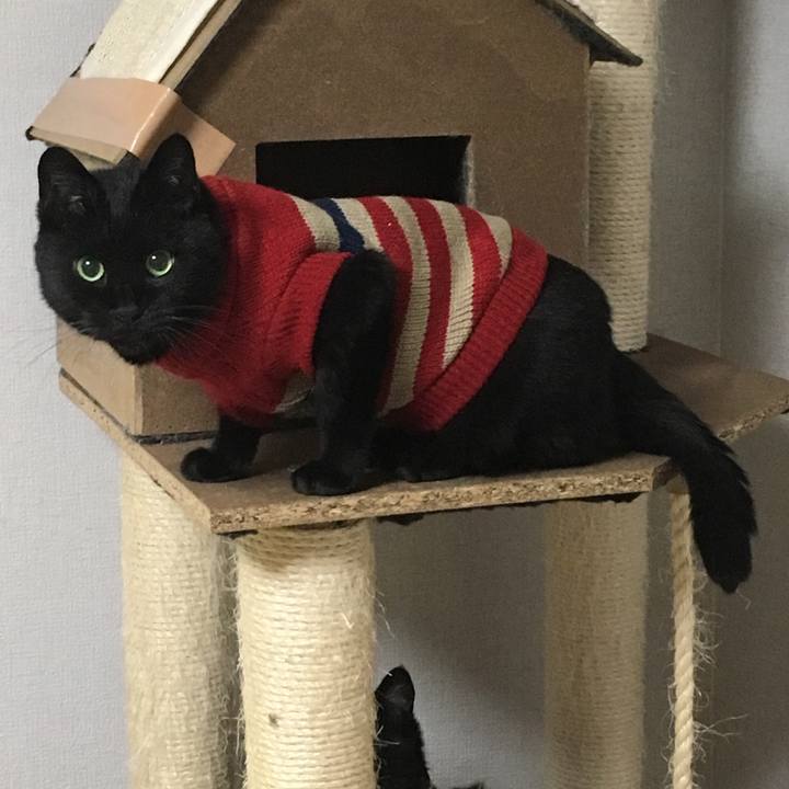 F717424e 1309 4e9d bef4 393c84e0f526 1539691821831