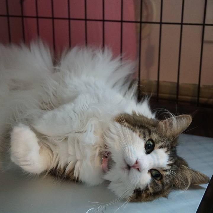 F7174d15 fc73 4f64 9f67 f538630e52ff 1567121204265