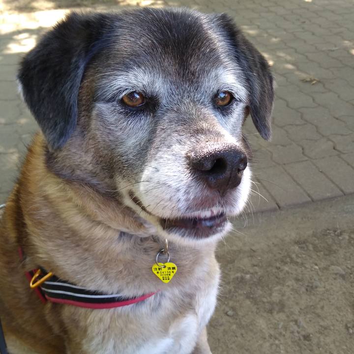 F717a2d2 fa5d 406c a8b8 f9824da7098f 1559174501274