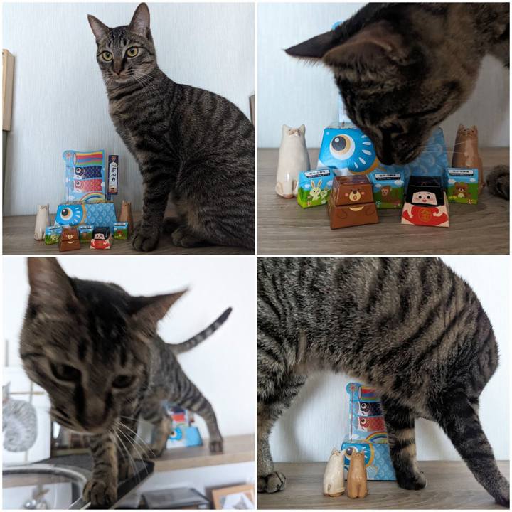 F717b562 3a65 48cc b840 e1539dddb28e 1714880836852