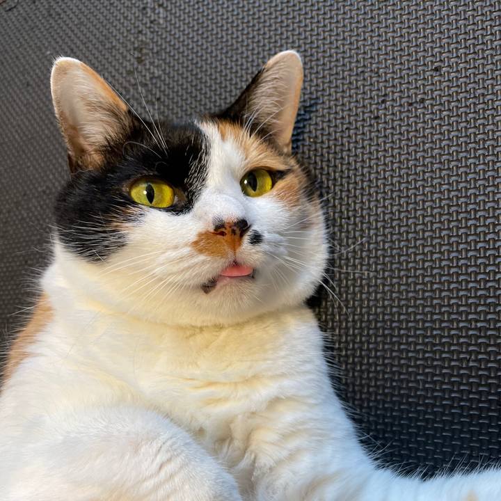 F717cfec fc2f 477a ac73 953a6a771706 1623101587024