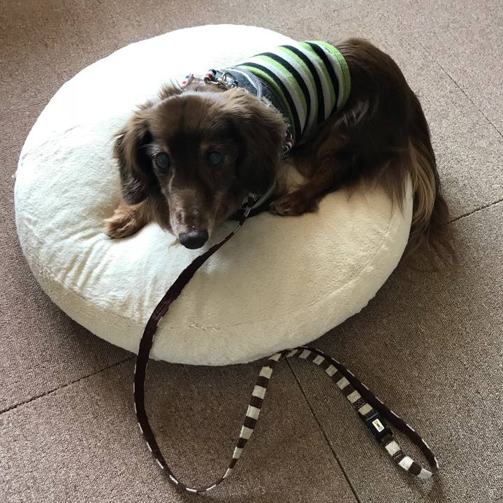 F718144e 69f3 40bb 87e5 d1999c4483a8 1524275666941