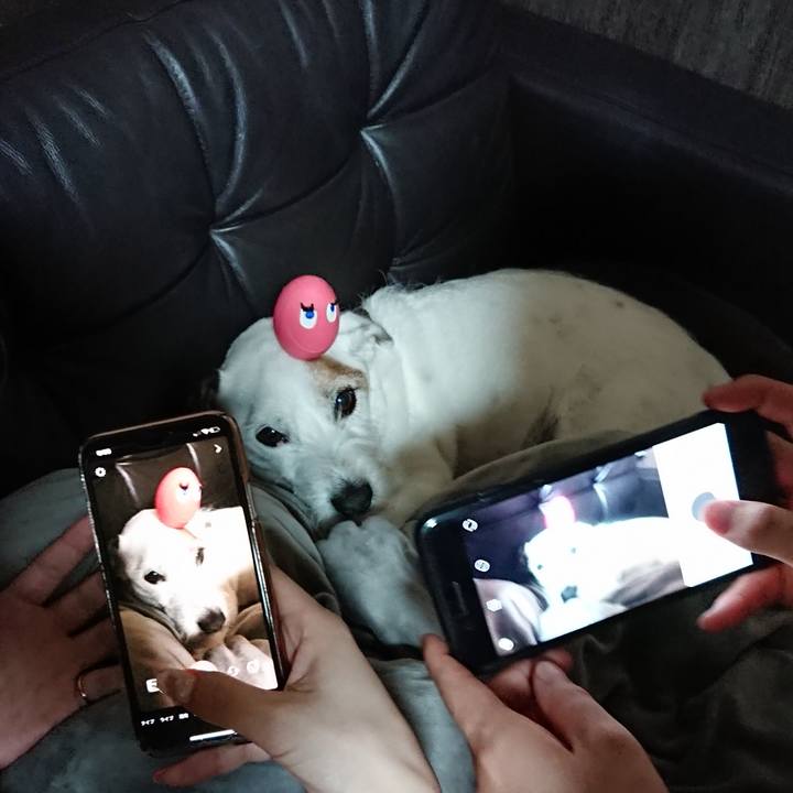 F718149d 4ba2 4f6f 9d85 c1ed542bcfcc 1529107561609