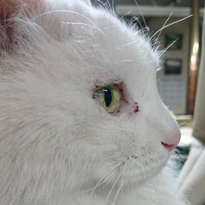 F7181503 ed9c 4173 98de da111865bc07 1520202309843