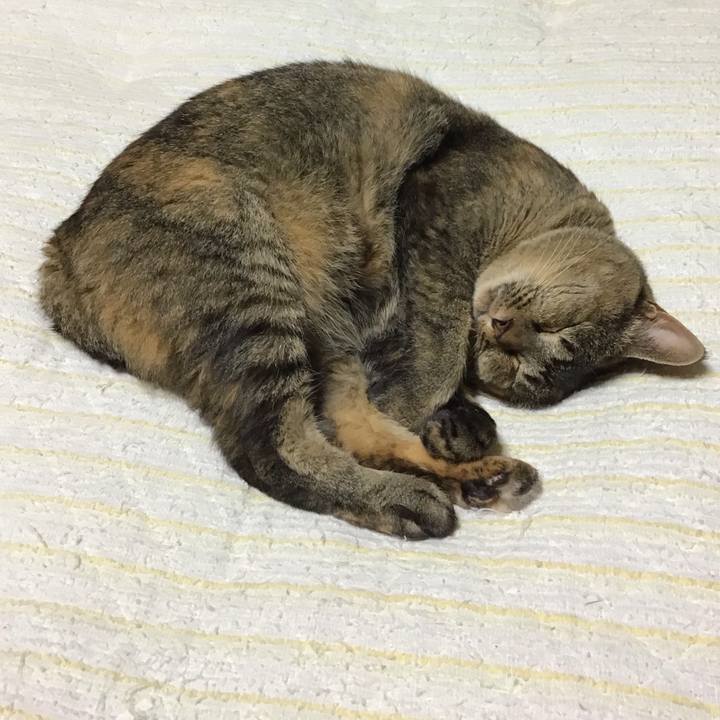 F7181cd9 0302 4161 b3b5 4354ac2e54ec 1725018079439