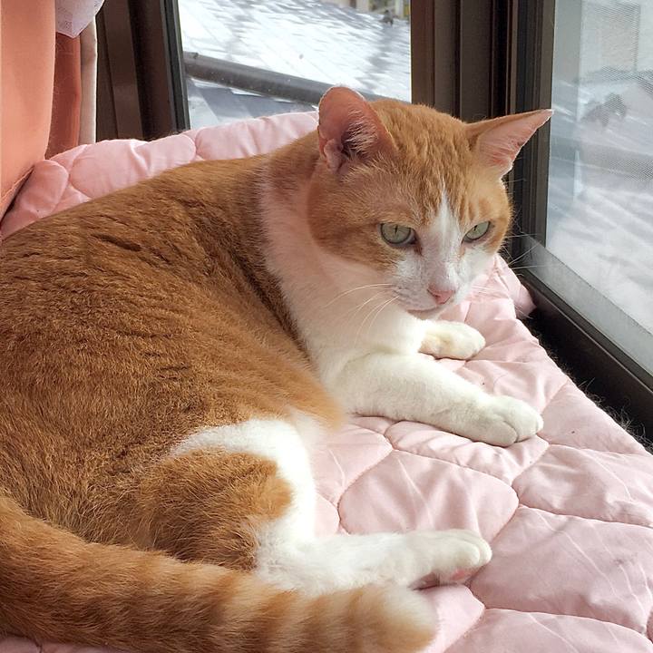 F7185485 92a6 43b7 bf0d 71a27d825c3b 1597267779746