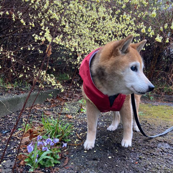 F7187635 09b4 4750 8692 57e567c0f795 1774487970414