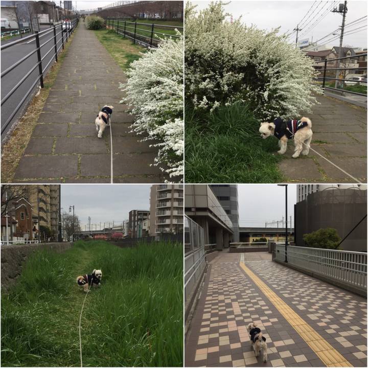 F7187821 9931 42db 82b5 a06a08b651e2 1553331164558