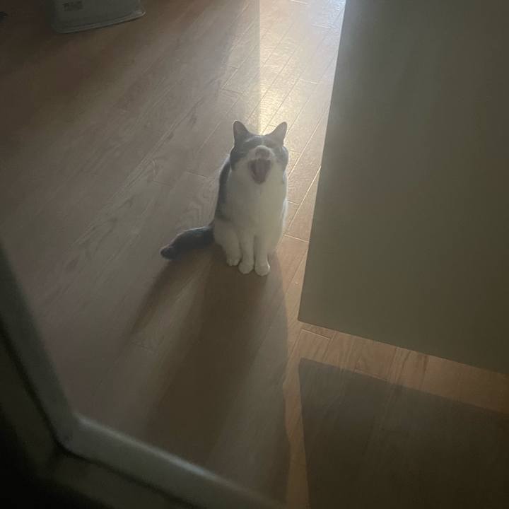 F7188149 9dea 4dde a678 07a5eaf06242 1743144821557