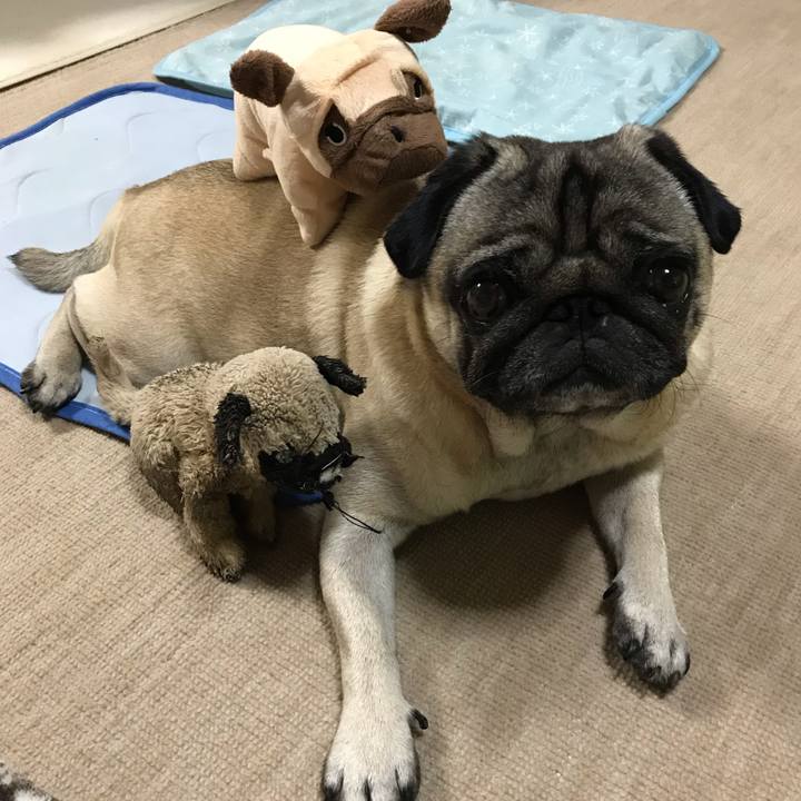 F718b768 fd43 41ba 8ad9 b93eeb7d7dea 1569499299385