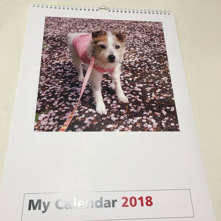 F719080c 0e77 4c67 95f4 0b3d5abe598c 1510745112826