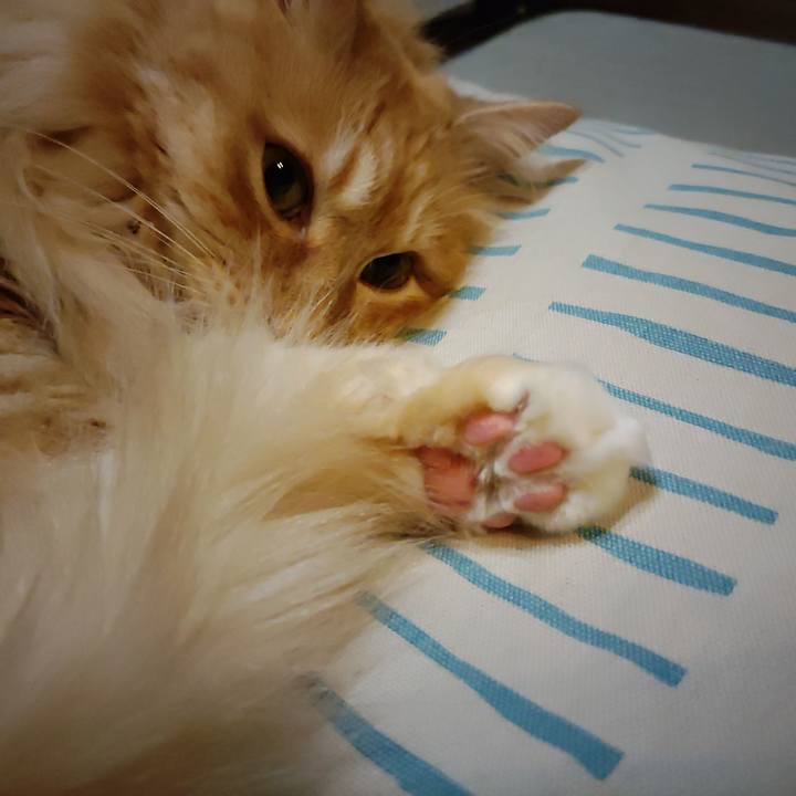 F719167c 38ef 4225 8a6b fb8235a75f18 1681126112148