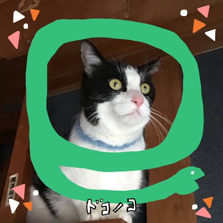 F719c370 4f8a 4370 a110 d8b6b80d5b9a 1741425124538