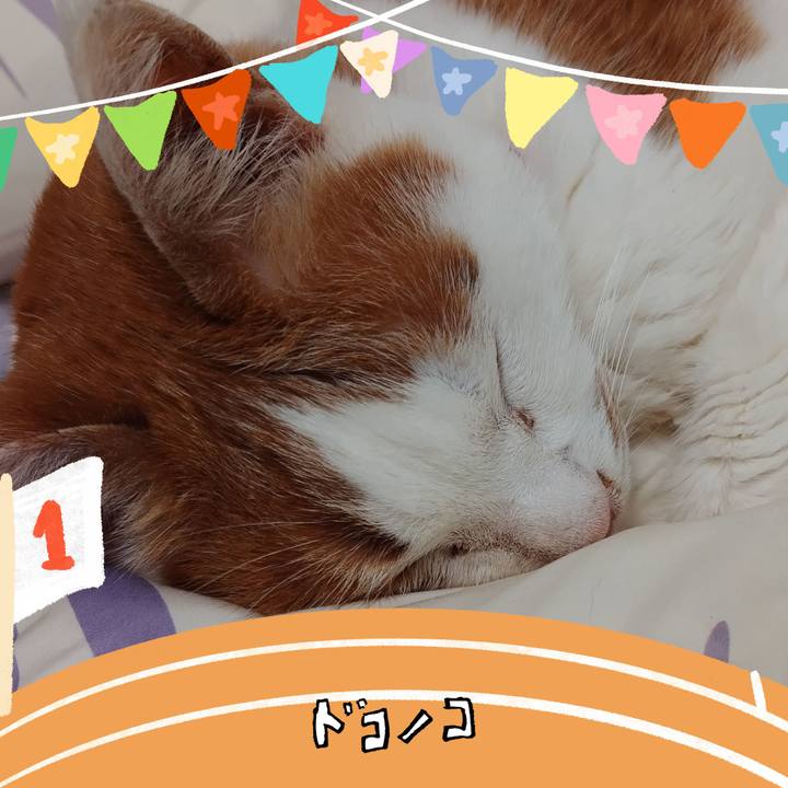 F719c918 c618 4b1f a200 1b3e790adfc7 1763219967848