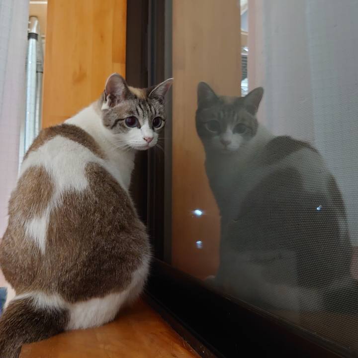 F719d235 37aa 4bb8 9a93 9e047dd98dae 1625315350254