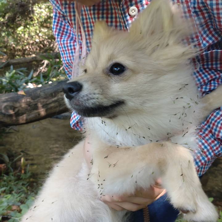 F719d970 b618 4d3a aa6e 9aad4b77608c 1729122439003