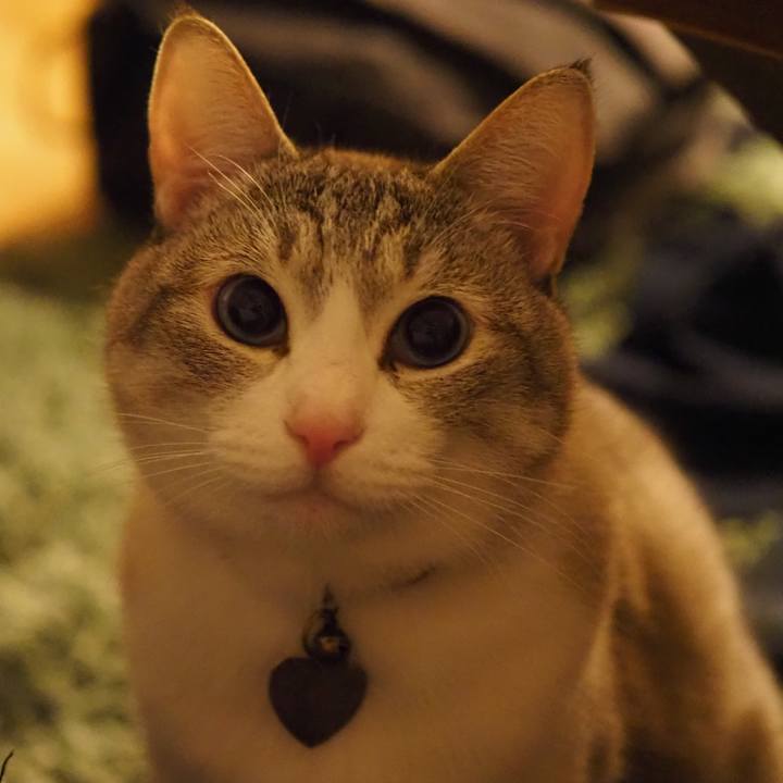 F719f29d 419d 4612 b370 95b28c34d2a7 1618839913905