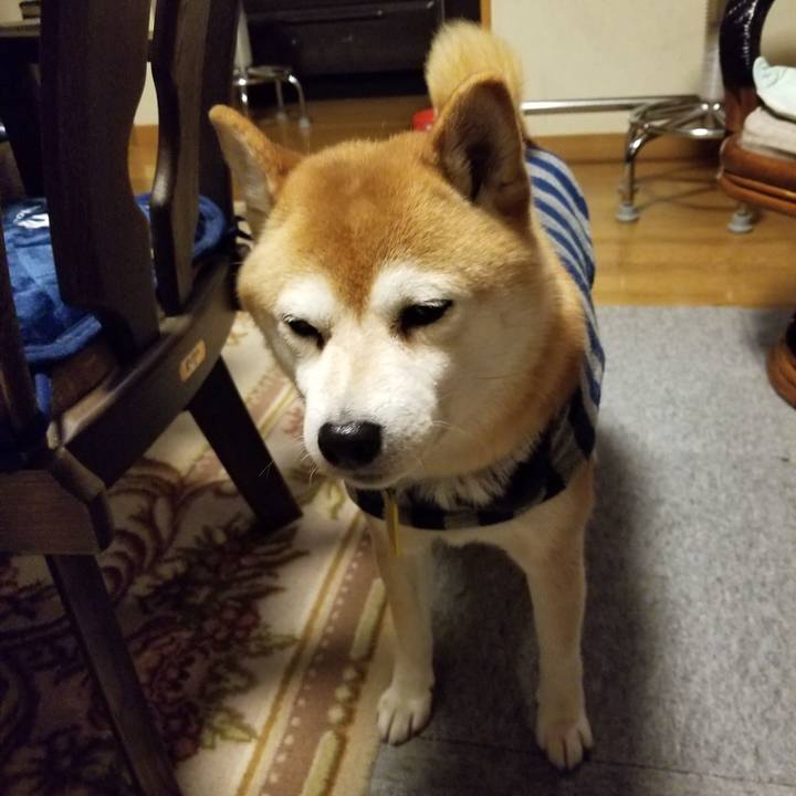 F71a0706 f041 4298 8023 71ba7c60c403 1580461741149