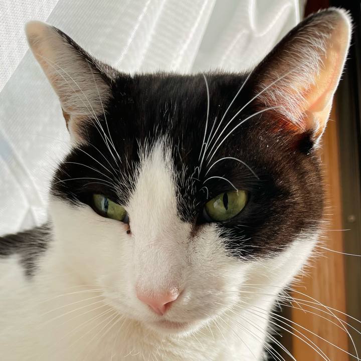 F71a070d dae2 445d 8dde 3c306f0bbca2 1642213510757