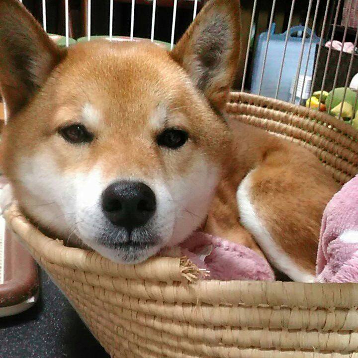 F71a29e3 a0f3 4687 98e4 d9237285776a 1551944372616