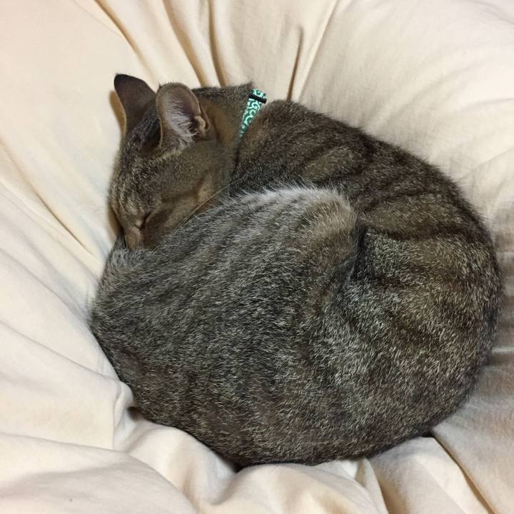 F71a4436 057a 4528 ab22 a4ff4f9dfee3 1537546285489