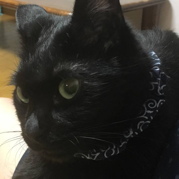 F71a45d1 3460 4da5 823f bc6d4b9e5b5a 1536921784463