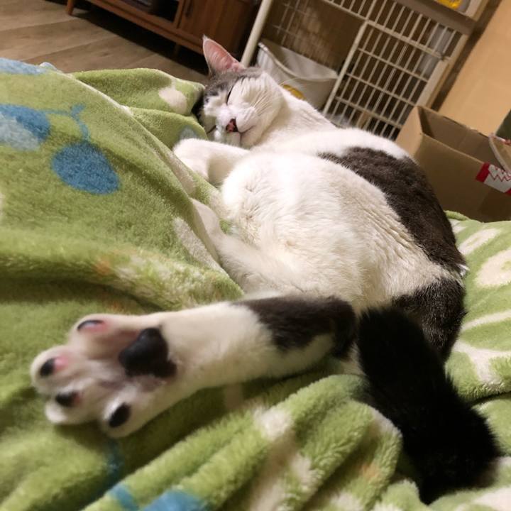 F71a4ea6 44e9 4f96 8024 57f240d7a4e3 1644499821067