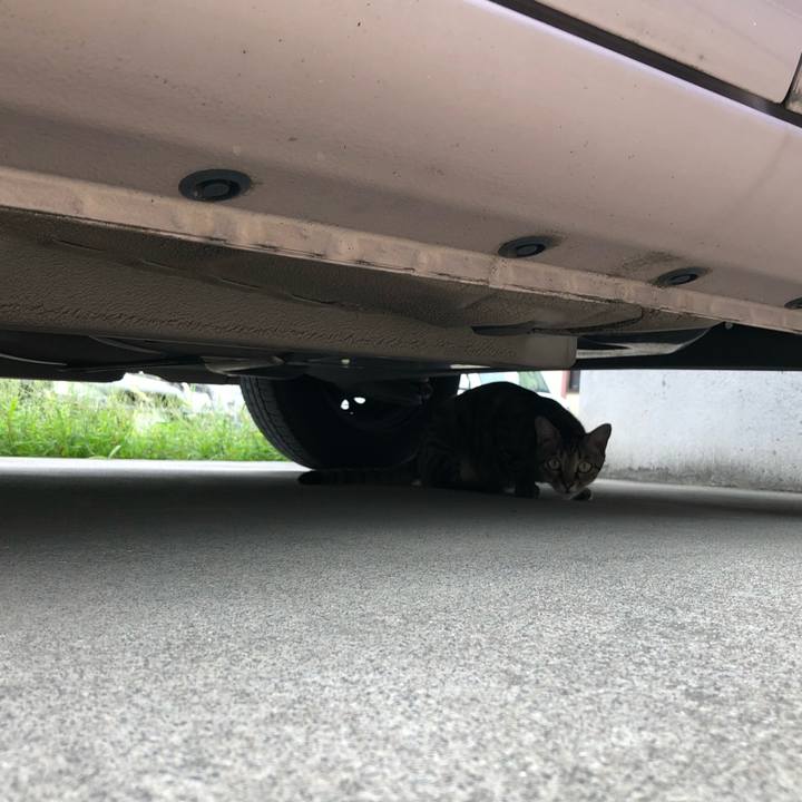 F71a62db fcea 4092 bbbd 9dbc350f1ade 1536308562788