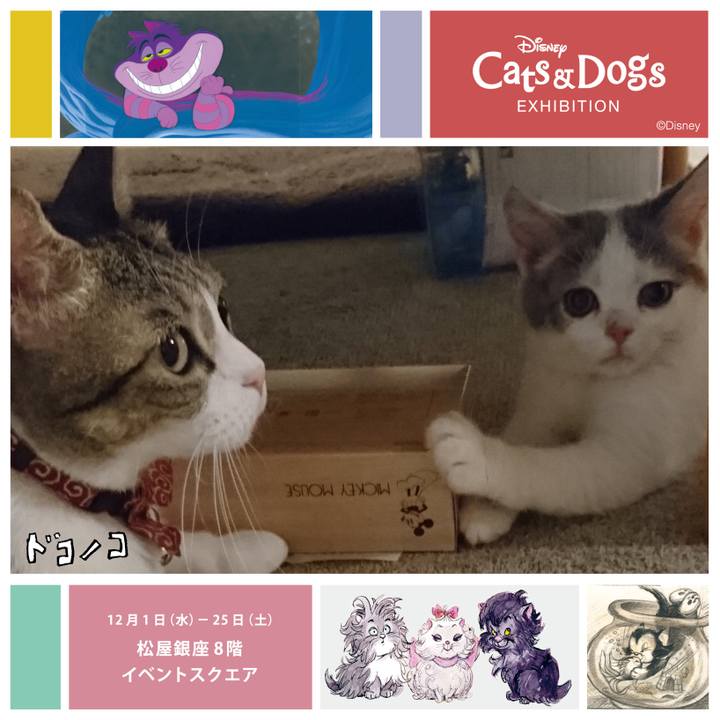 F71a64a9 4816 4d45 9233 c13707a5d96a 1638355581044