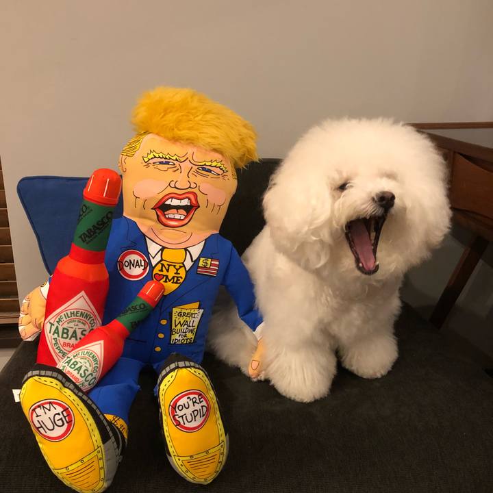 F71a7836 4189 4aae 83de a47f08e084aa 1512396175970