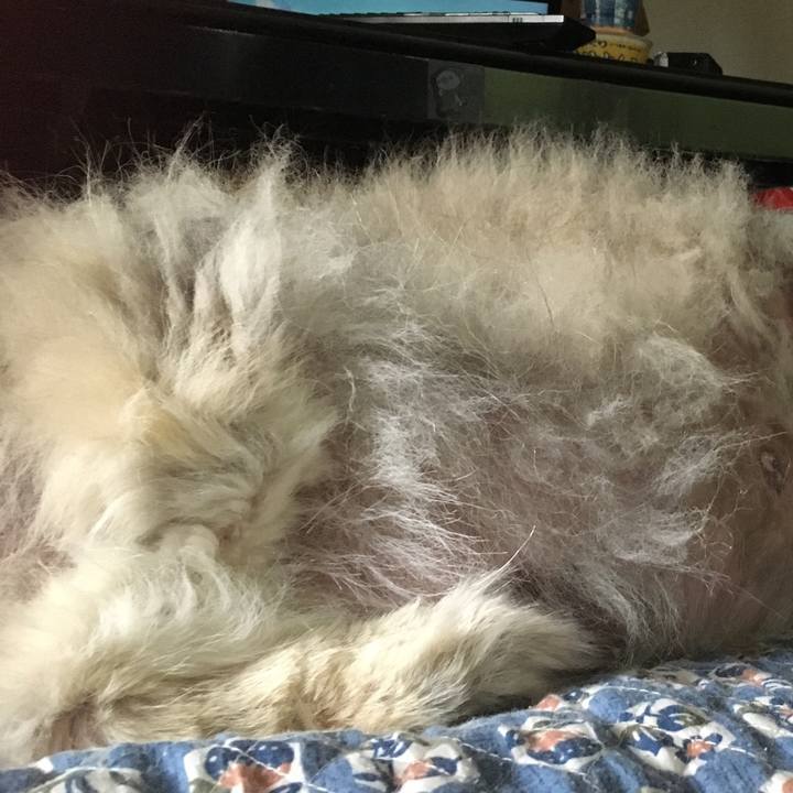 F71a8bac 98d2 4655 8973 f5e660b1408d 1618795850139