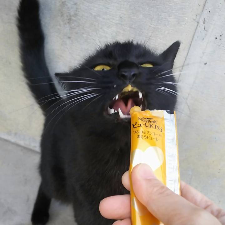 F71a8f71 6ea5 4e4b bd87 748b4fd91294 1551959107094