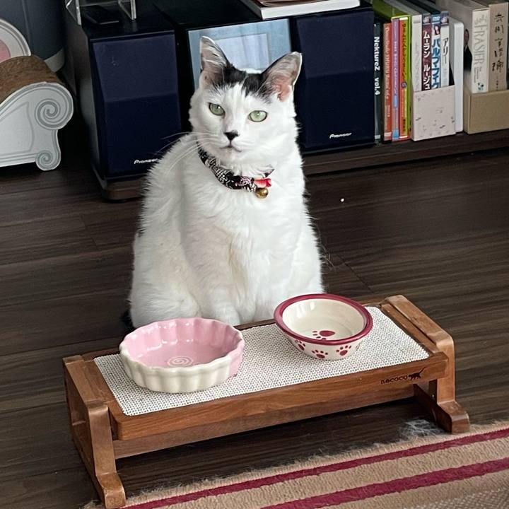 F71abee2 3c15 4d0d 8c71 89200634d05b 1691807881008