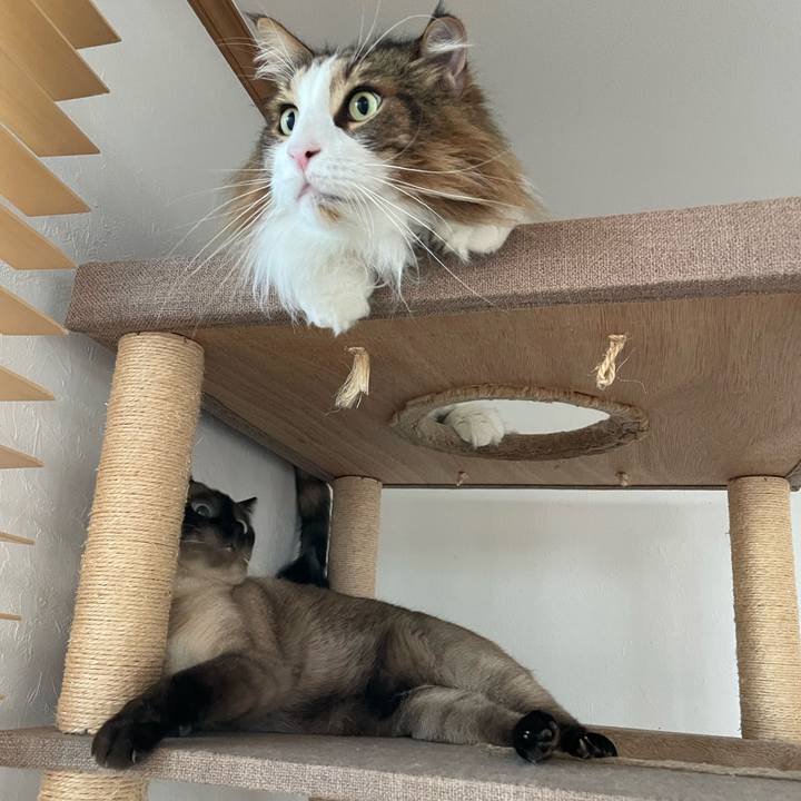 F71acb87 a1ec 42bb ae63 8f9fea1382f3 1756619273110