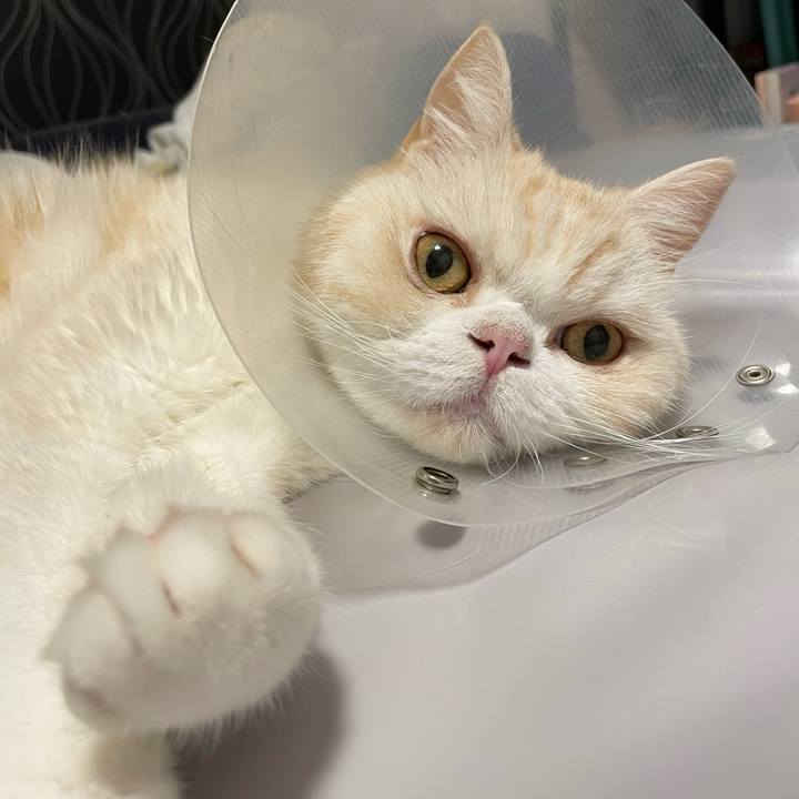 F71b5d84 ea64 4da0 b53a 9e88215fc881 1754819344098