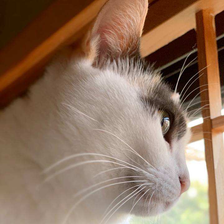 F71b6f54 edc2 472e 89c3 a54b7021deb8 1539397722800