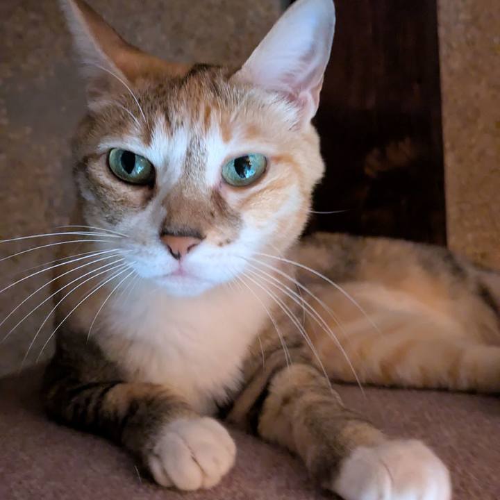 F71c616c dfa1 411c be52 4b50e1bf73c9 1759251386350