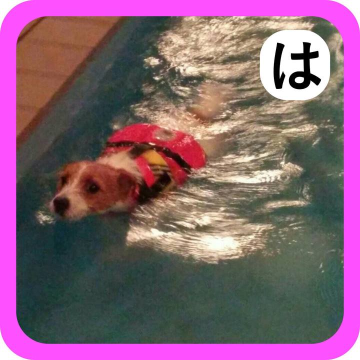 F71c681a 3d93 4d6e 93a0 a3979bd46a98 1514940967643