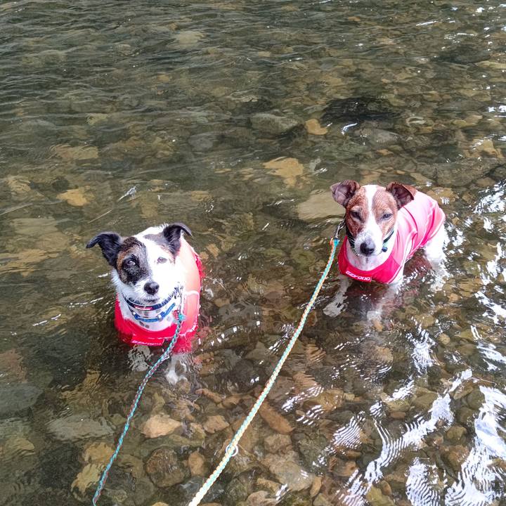 F71c8d45 df5d 4b3d 8b20 00ff182eb6a6 1691321994252