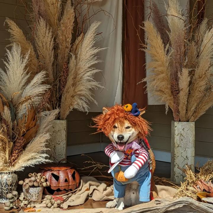 F71cdb14 1274 410d ad3e ba9ebc4e3acc 1698711531856