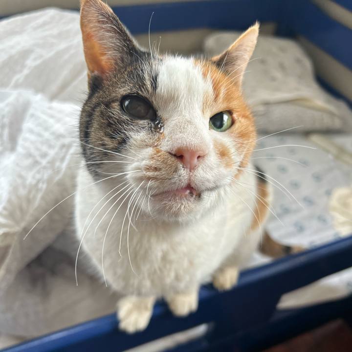 F71d0fa0 f1cc 4f52 a22c c10f92c4ee2b 1711256250208