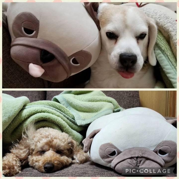 F71d204e 04c6 4797 b7f1 383bb33f32f0 1764890752702