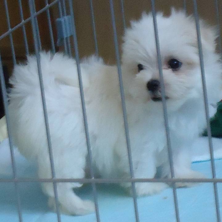 F71d357e 7895 451e a9f9 9d9e4f3ea245 1524634495842